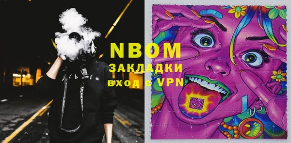 гашик Куртамыш