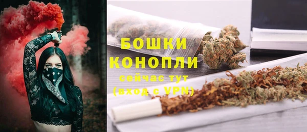 амф Арсеньев